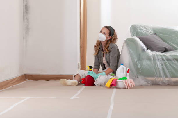 Reliable Mold Cleanup contractor in Williamston, MI by Cheap Mold Removal